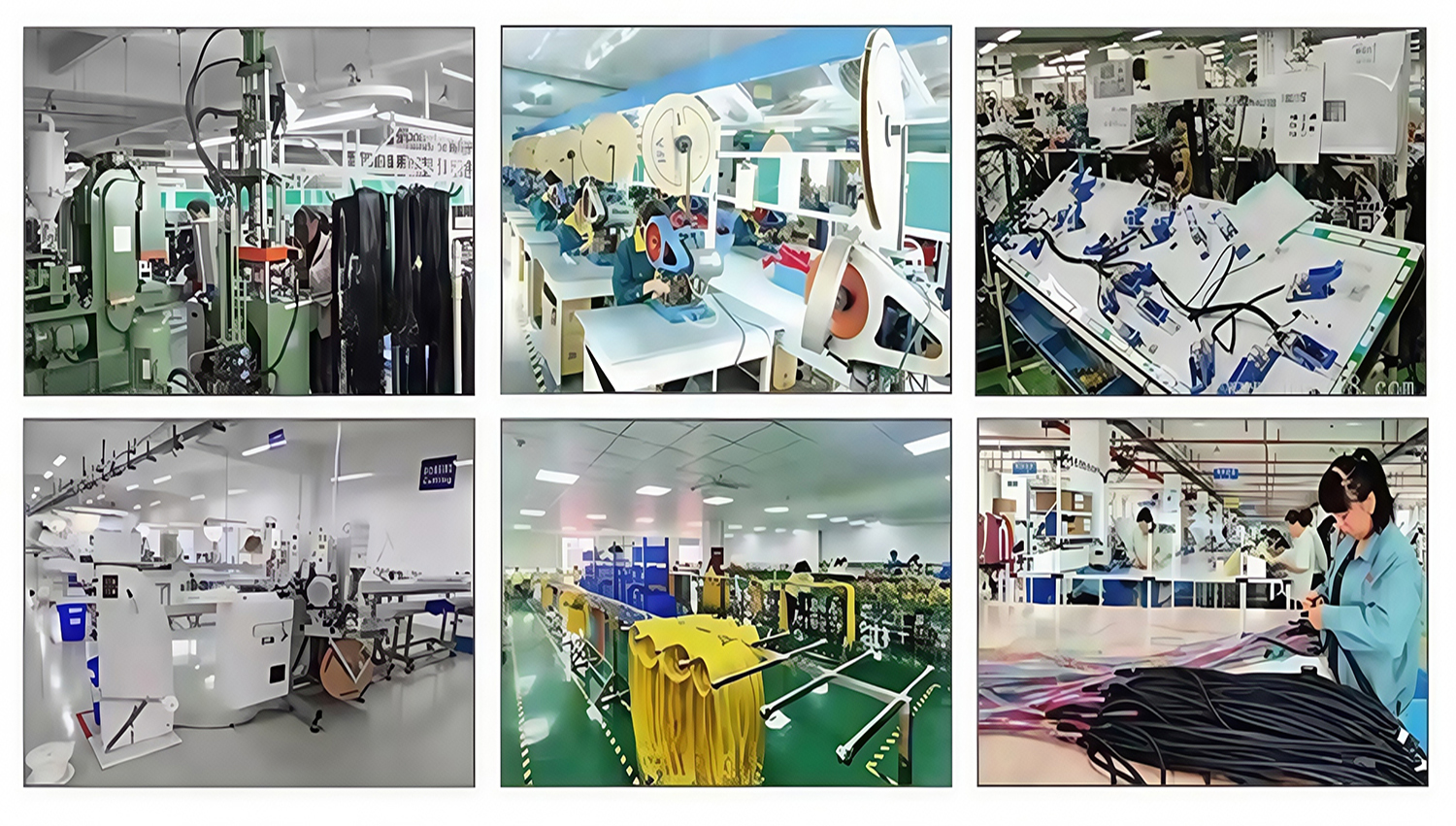 Plug molding & Cable Assembly